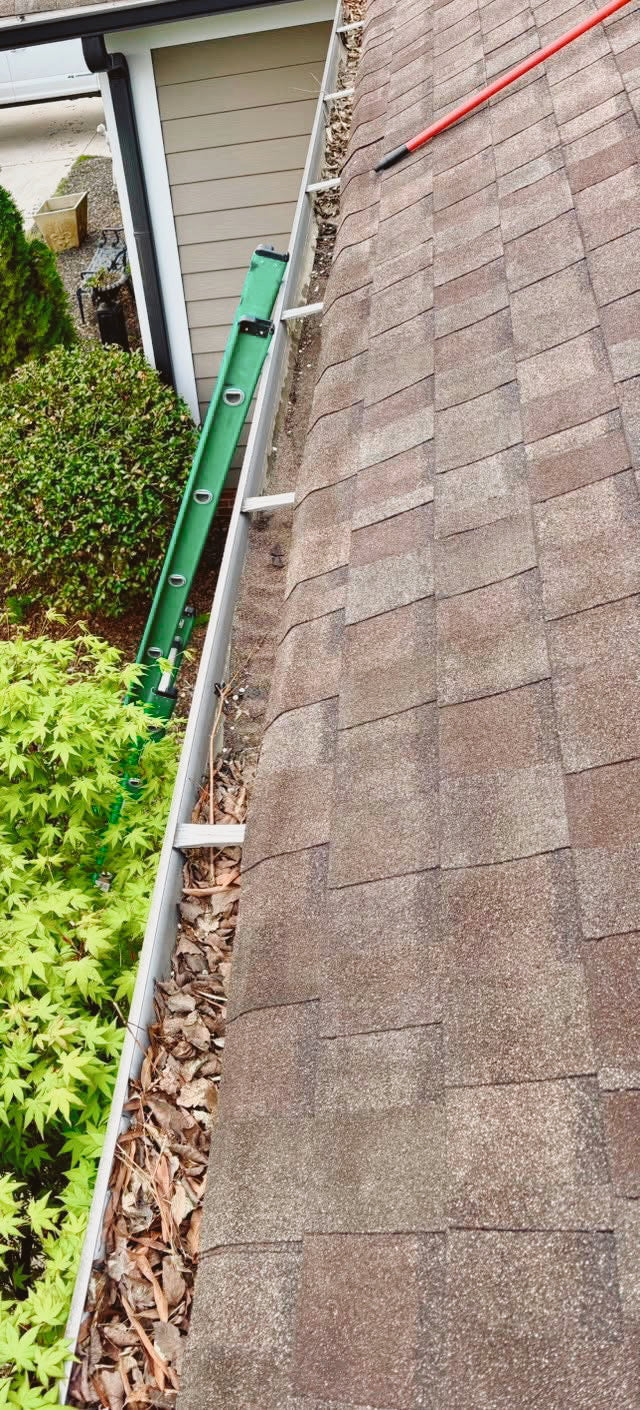 Gutter Cleaning