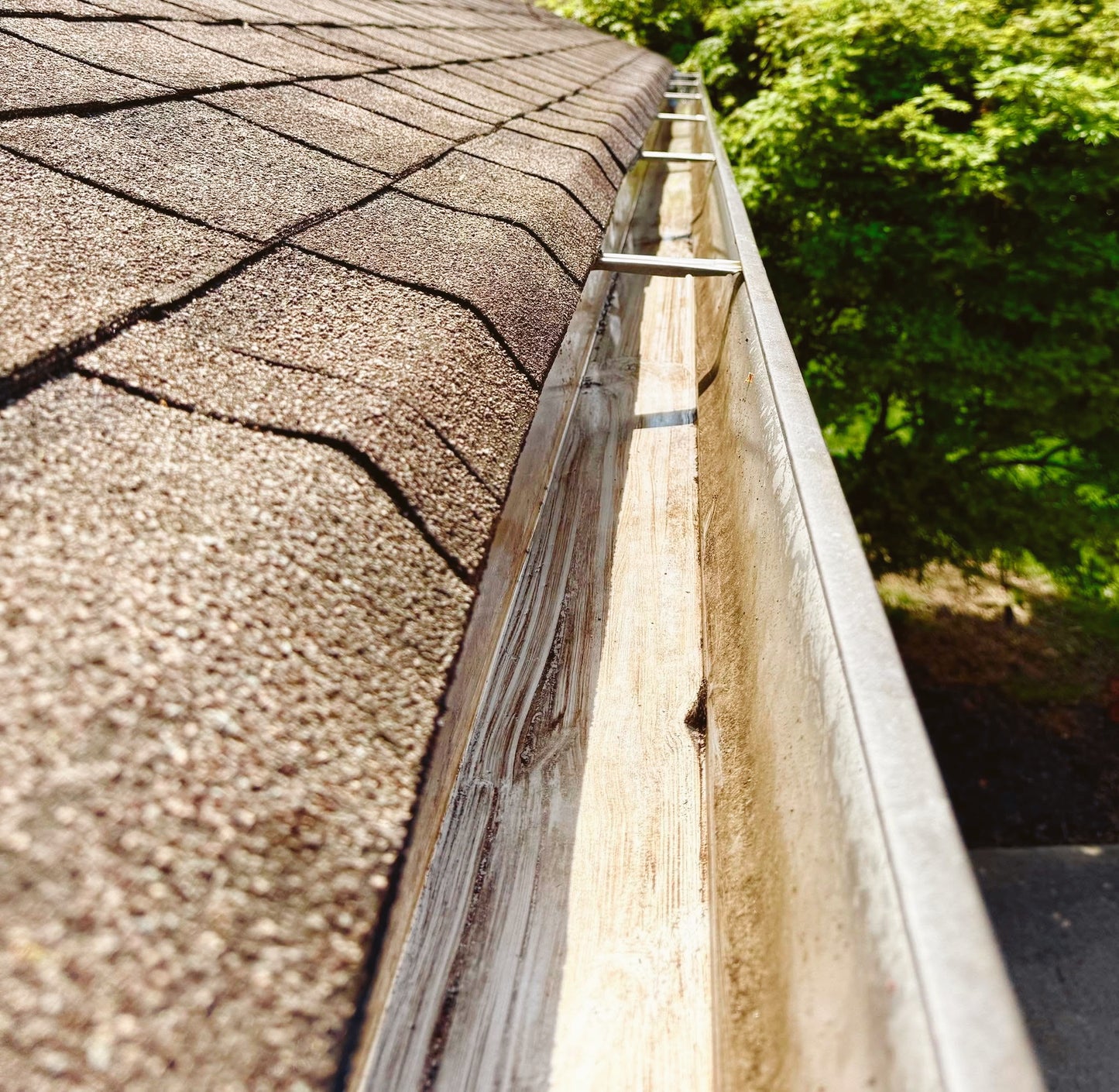 Gutter Cleaning