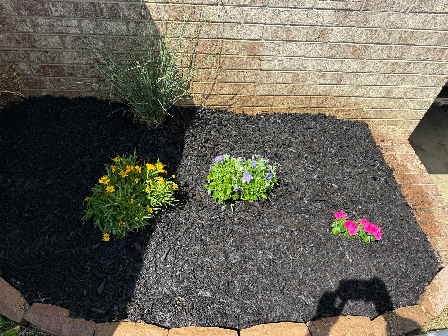 Weed Removal/Hedge Trim