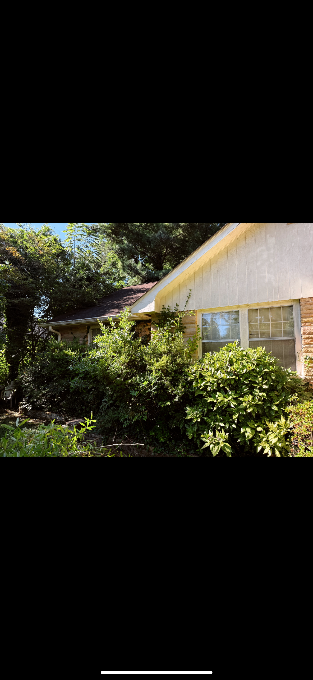 Weed Removal/Hedge Trim