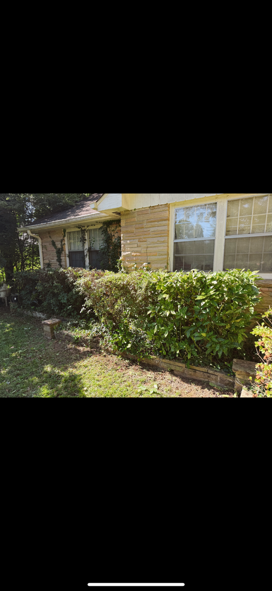 Weed Removal/Hedge Trim